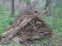  Log pile habitat for amphibians