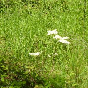  Spring 2012 