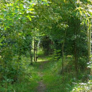 path1