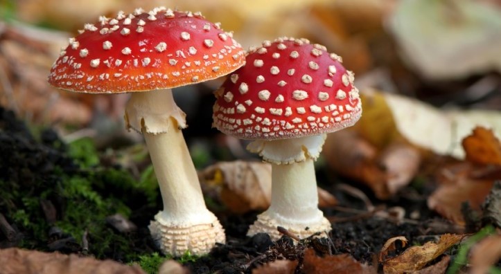 October News