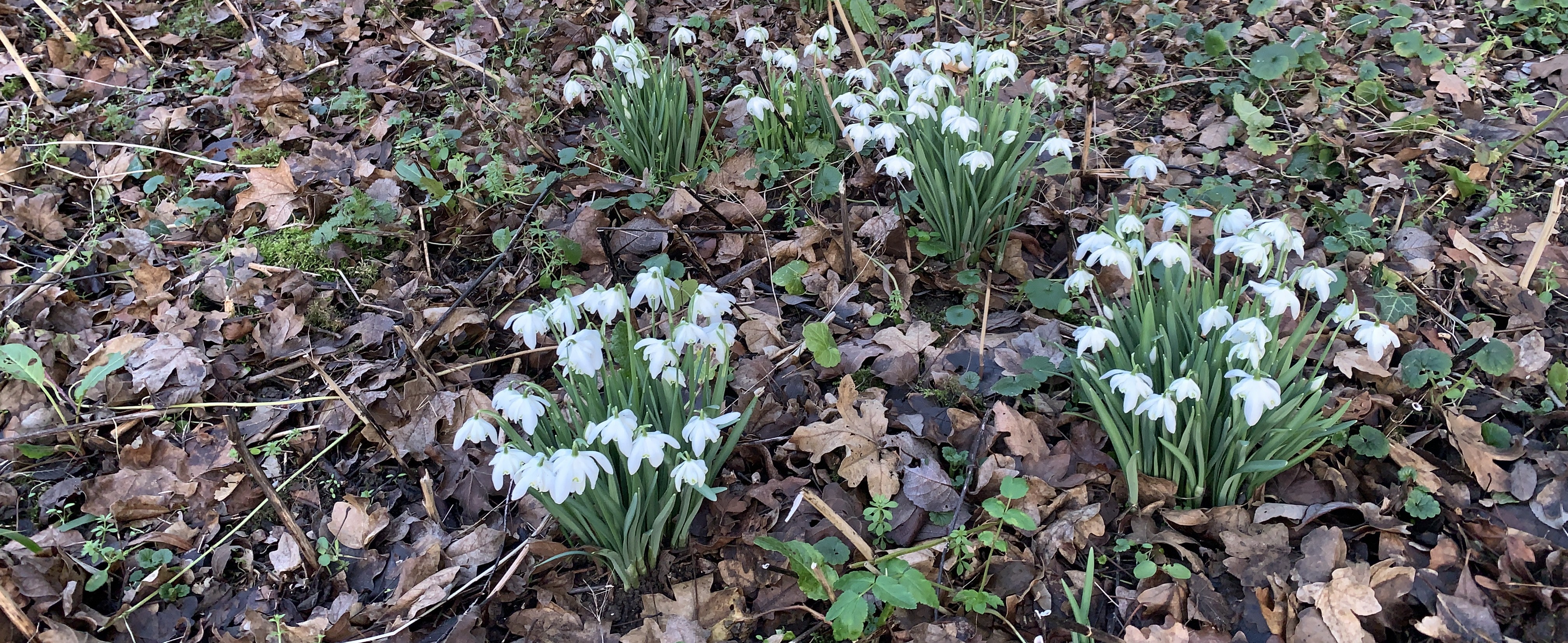 March News