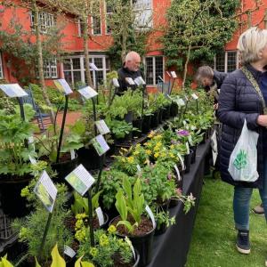 Plants and Crafts 2023 2
