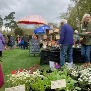 Plants and Crafts 2023 4