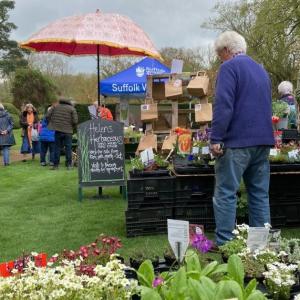 Plants and Crafts 2023s3